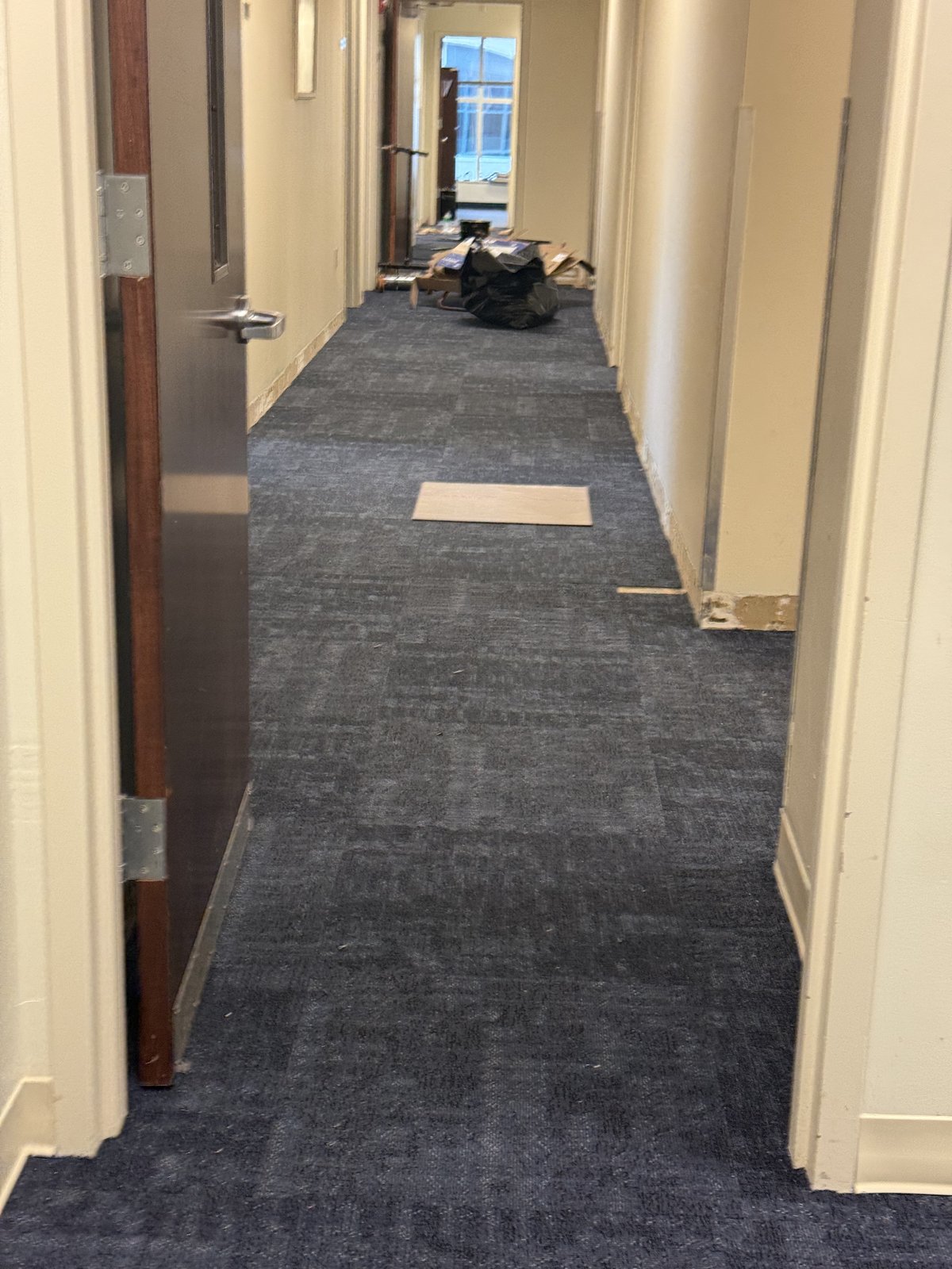 Alfombra modular comercial nueva que da vida a este pasillo de oficinas, instalada con transiciones precisas y uniformes.